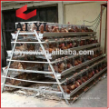 Wholesale 3 Layer Cages for Hens